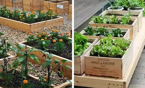 城市蔬菜园艺空间利用技巧