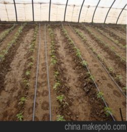 蔬菜水肥一体化栽培有什么优点
