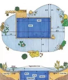 如何建一个生态水池